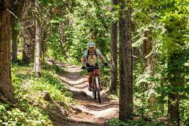 Image result for Bogtrotters Mountain Bike Club