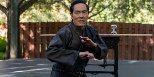 Image result for kyokujitsu Kai
