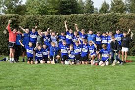 Image result for Sarsfields Hurling Club