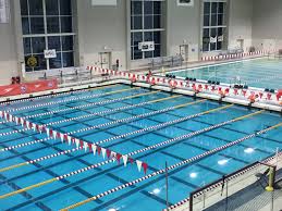 Image result for Calverton Swimming Club