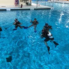 Image result for Mole Valley Sub Aqua Club