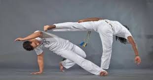 Image result for Brazilian-martial arts