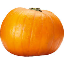 Image result for Kürbis