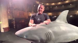 Image result for Stevenage Sharks Rhc