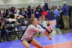 Image result for Ellesmere Port Eels Volleyball Club