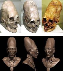 Image result for elongated skulls