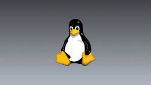 Image result for linux tux