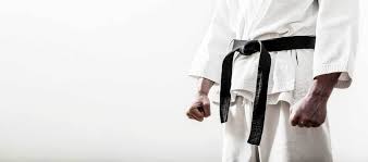 Image result for Swansea Taekwondo Club