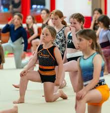 Image result for Phoenix Acro Gymnastics Club