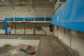 Image result for BRIGHOUSE SWIMMING CLUB