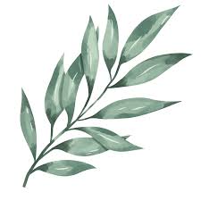 Attēlu rezultāti vaicājumam “leaf”