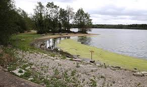 Image result for Aldenham Sailing Club