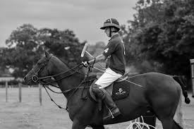 Image result for Taunton Vale Polo Club