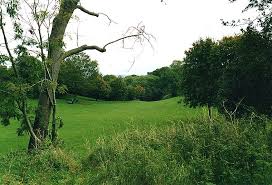 Image result for Redland Green Bowling Club