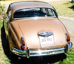 Image result for Golden Sand 1962 Jaguar