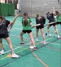 Image result for Leyland Fox Lane Sports Club