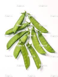 Attēlu rezultāti vaicājumam “Pisum sativum fruit”