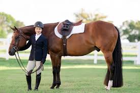 Image result for Carman Stables
