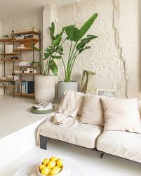 Image result for kaleien