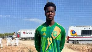 Image result for Darlington Athletic Club