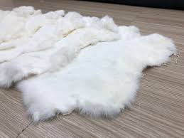 Image result for white rabbit skin texture