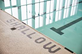 Image result for York University Pool Club