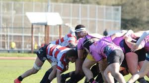 Image result for Vigo Rugby Football Club