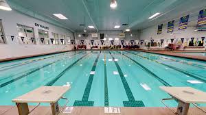 Image result for Derby Phoenix Swimming Club