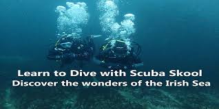 Image result for Scuba Skooling