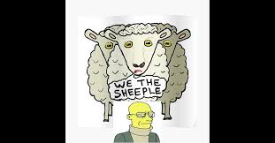 Image result for sheeple