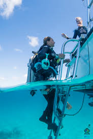 Image result for Divemaster Scuba