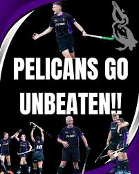 Image result for Pelicans Hockey Club