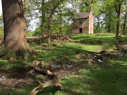 Image result for Dunham Massey Angling Club