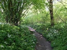 Image result for Heemtuin Rucphen