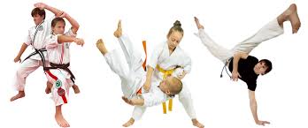 Image result for Maidenhead Karate Club