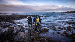 Image result for Eltham and District Sub Aqua Club