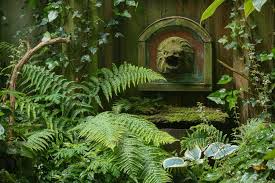 Attēlu rezultāti vaicājumam “Dryopteris affinis”