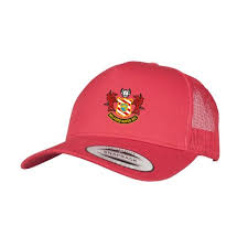 Image result for Milford Haven R F C