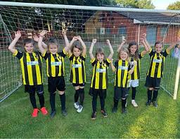 Image result for South Cave Junior Badminton Club