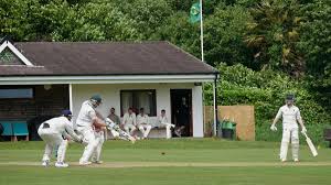 Image result for Cornwood Cricket Club