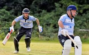 Image result for Bronwydd Cricket Club