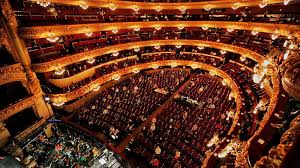 Attēlu rezultāti vaicājumam “Licea castanea”