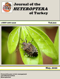 Attēlu rezultāti vaicājumam “Heteroptera”