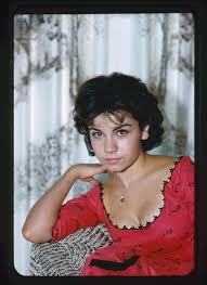 Attēlu rezultāti vaicājumam “Fuligo licentii young”