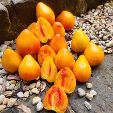 Afbeeldingsresultaat voor belarus orange tomato