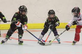Image result for Vipers Roller Hockey Team
