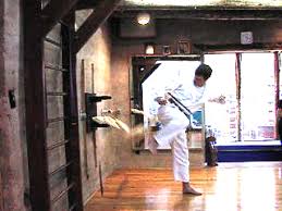 Image result for Ji Shin Do Karate