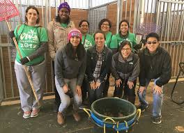 Image result for Comets Junior Badminton Club