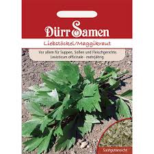 Image result for Liebstöckel