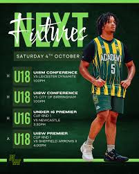 Image result for Nottingham Wildcats